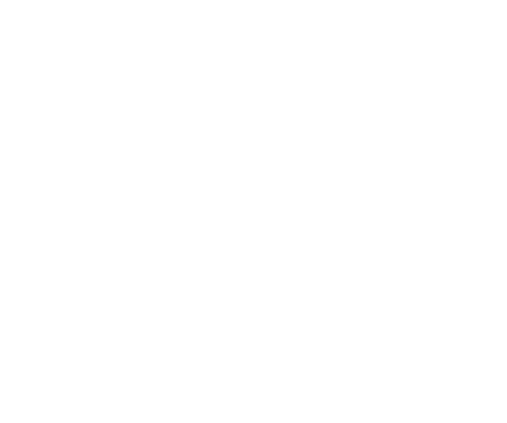 turtle.camp